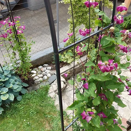 Wohnung Mit Charme In Pinsdorf Exterior photo