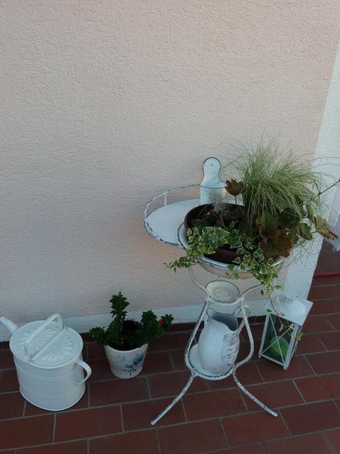 Mit Charme In Apartment Pinsdorf