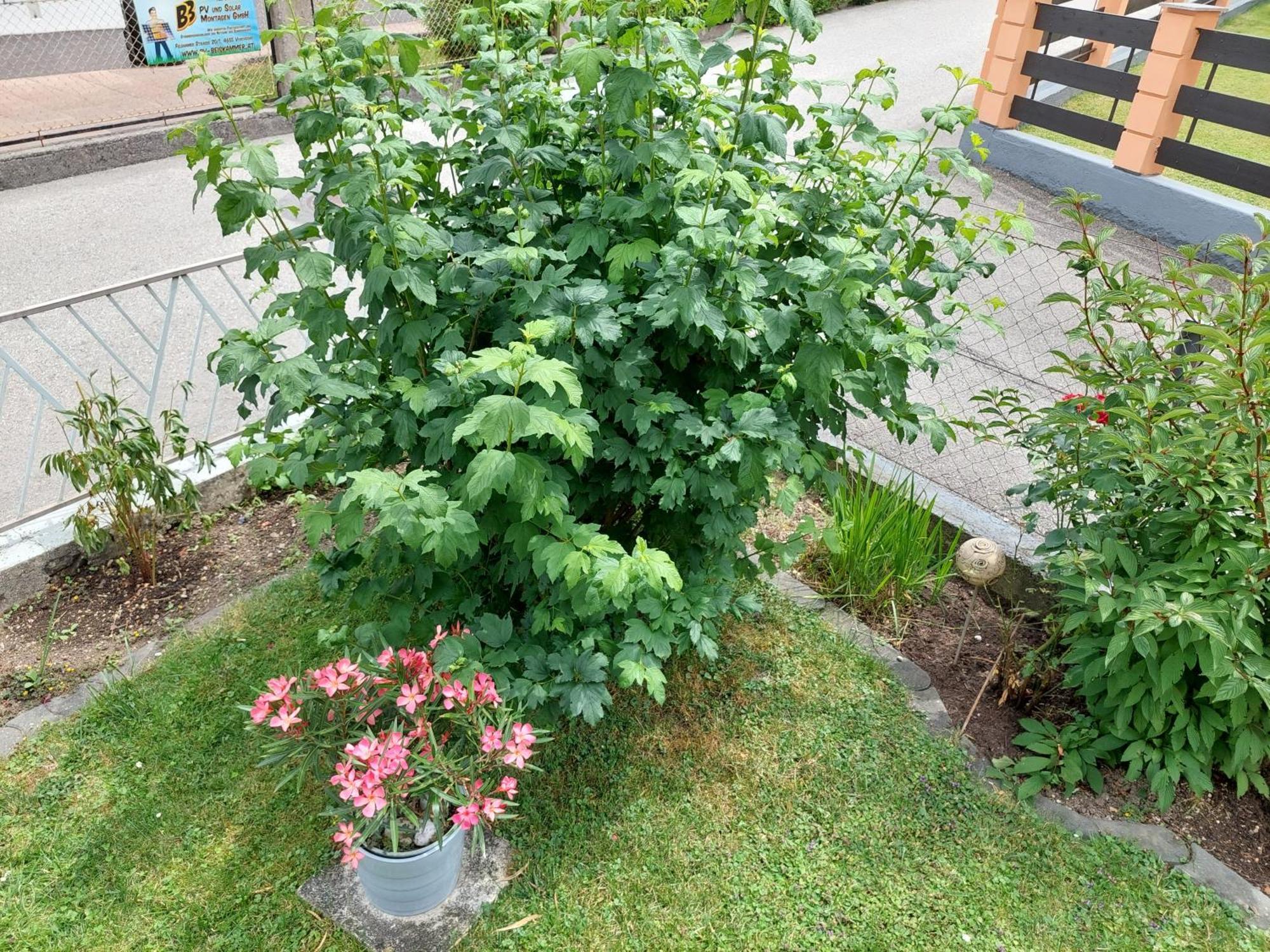 Mit Charme In Pinsdorf